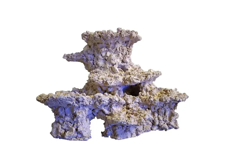 PM Riffkeramik GmbH — Zoofachhandel, Balgach, St. Gallen. Foto 3