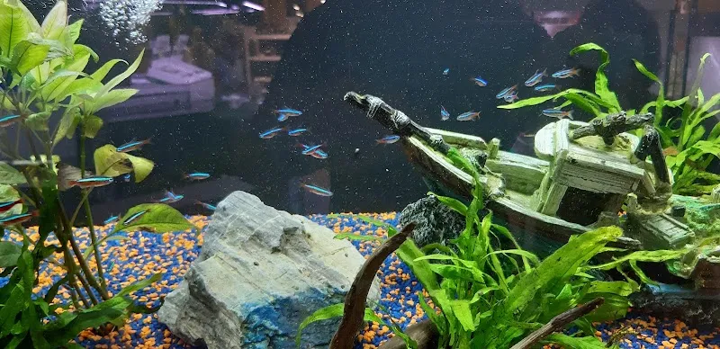 QUALIPET — Zoofachhandel, Mels, St. Gallen. Foto 3