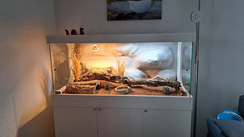 Reptilienhaus CH — Zoofachhandel in Buchs, Aargau. Bewertung 5.0/5.