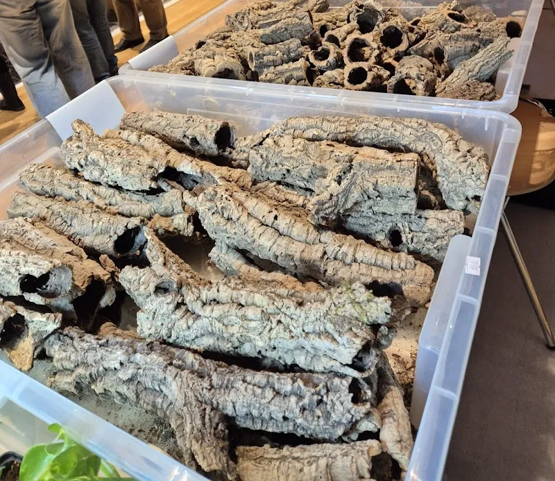 Reptilienhaus CH — Zoofachhandel, Buchs, Aargau. Foto 2