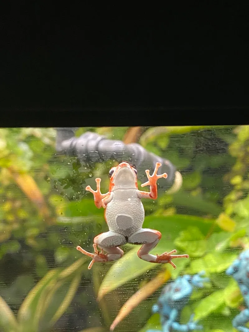 Terrafisch — Zoofachhandel in Zuzwil, St. Gallen. Bewertung 4.6/5.
