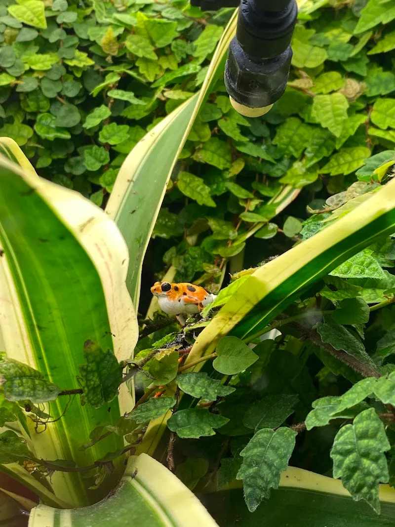 Terrafisch — Animalerie, Zuzwil, Saint-Gall. Foto 2