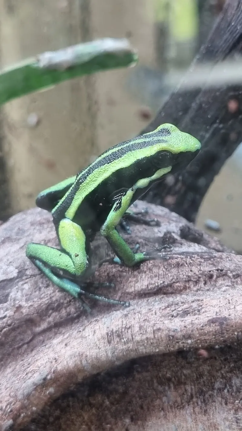 Terrafisch — Animalerie, Zuzwil, Saint-Gall. Foto 3