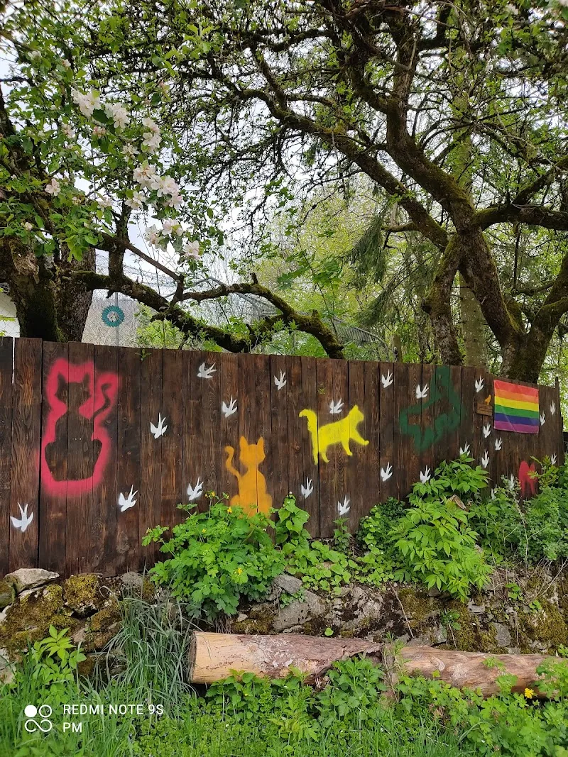 Fondation SOS Chats Noiraigue — Katzenpension in Noiraigue, Neuenburg. Bewertung 4.9/5.