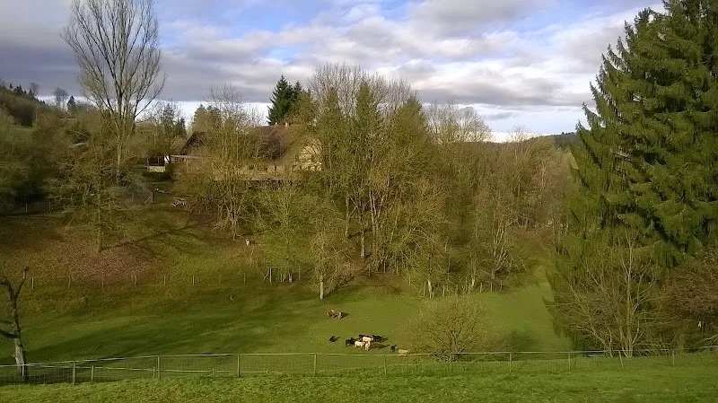 Tierpension Hof — Katzenpension in Schöftland, Aargau. Bewertung 4.9/5.