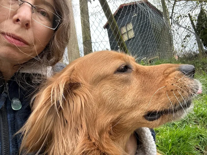 Tierpension Hof — Pension pour chats, Schöftland, Argovie. Foto 3