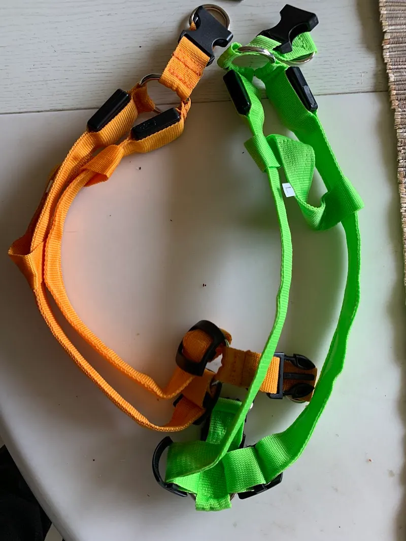 Tier-Welt.ch | Heimtier-Bedarf | Schweiz — Zoofachhandel in Lichtensteig, St. Gallen. Bewertung 2.6/5.