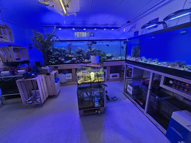 Unterwassergarten Tanner — Zoofachhandel in Münchwilen, Thurgau. Bewertung 5.0/5.