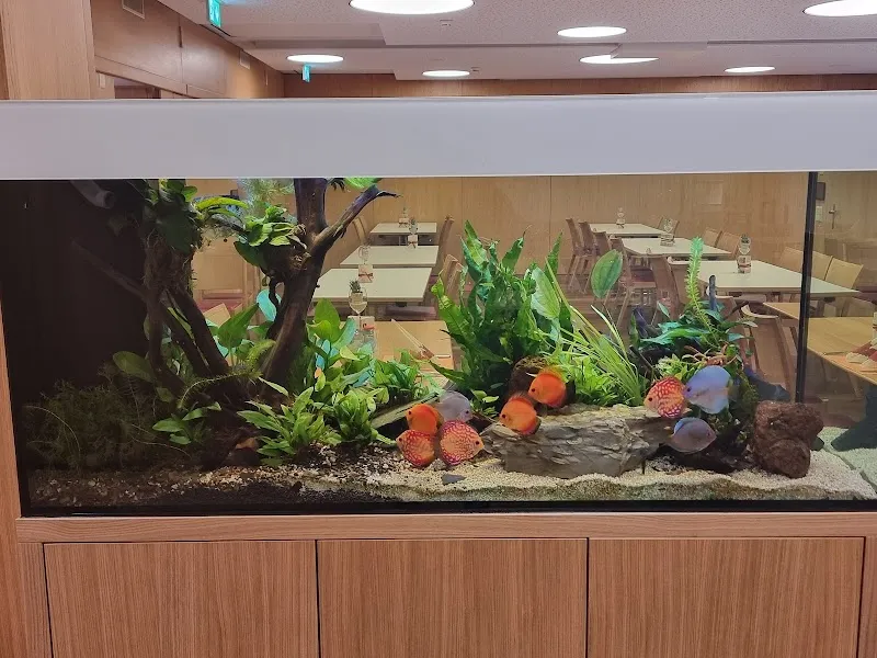 Unterwassergarten Tanner — Zoofachhandel, Münchwilen, Thurgau. Foto 3