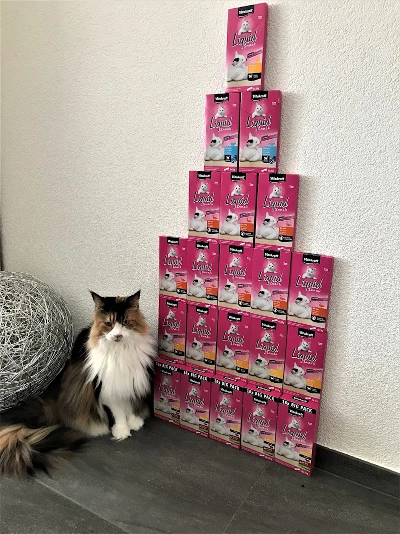 Vitakraft AG — Zoofachhandel, Buchs, Zürich. Foto 2