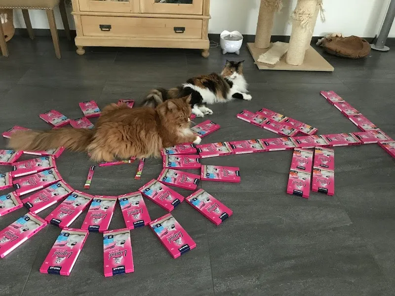 Vitakraft AG — Zoofachhandel, Buchs, Zürich. Foto 3