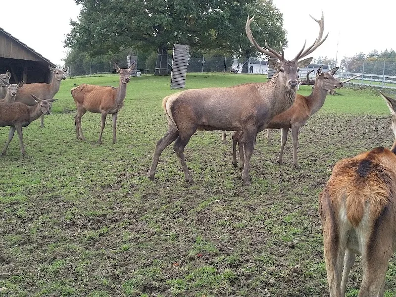 Wildpark Peter und Paul — Zoofachhandel in St. Gallen, St. Gallen. Bewertung 4.6/5.