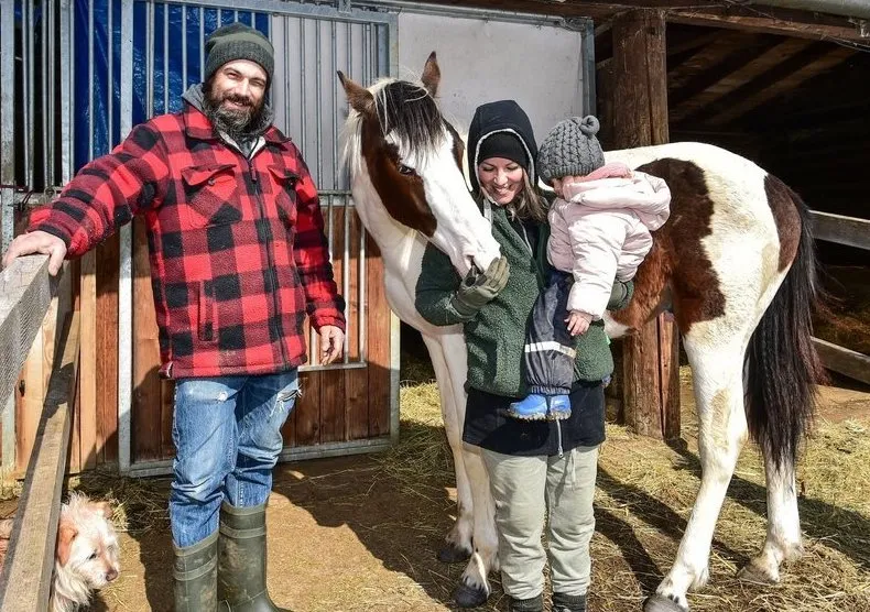Fée Pour Eux — Katzenpension in Dombresson, Neuenburg. Bewertung 4.9/5.