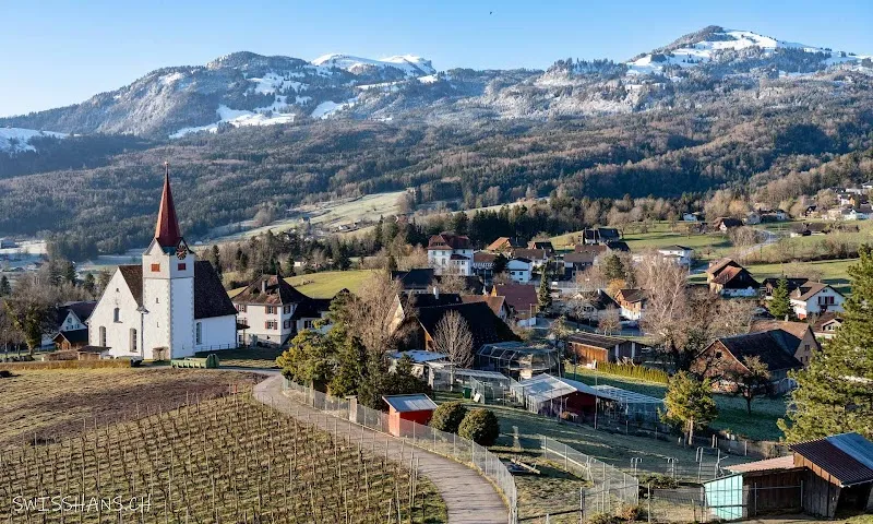 Zoohuus — Animalerie, Altstätten, Saint-Gall. Foto 2