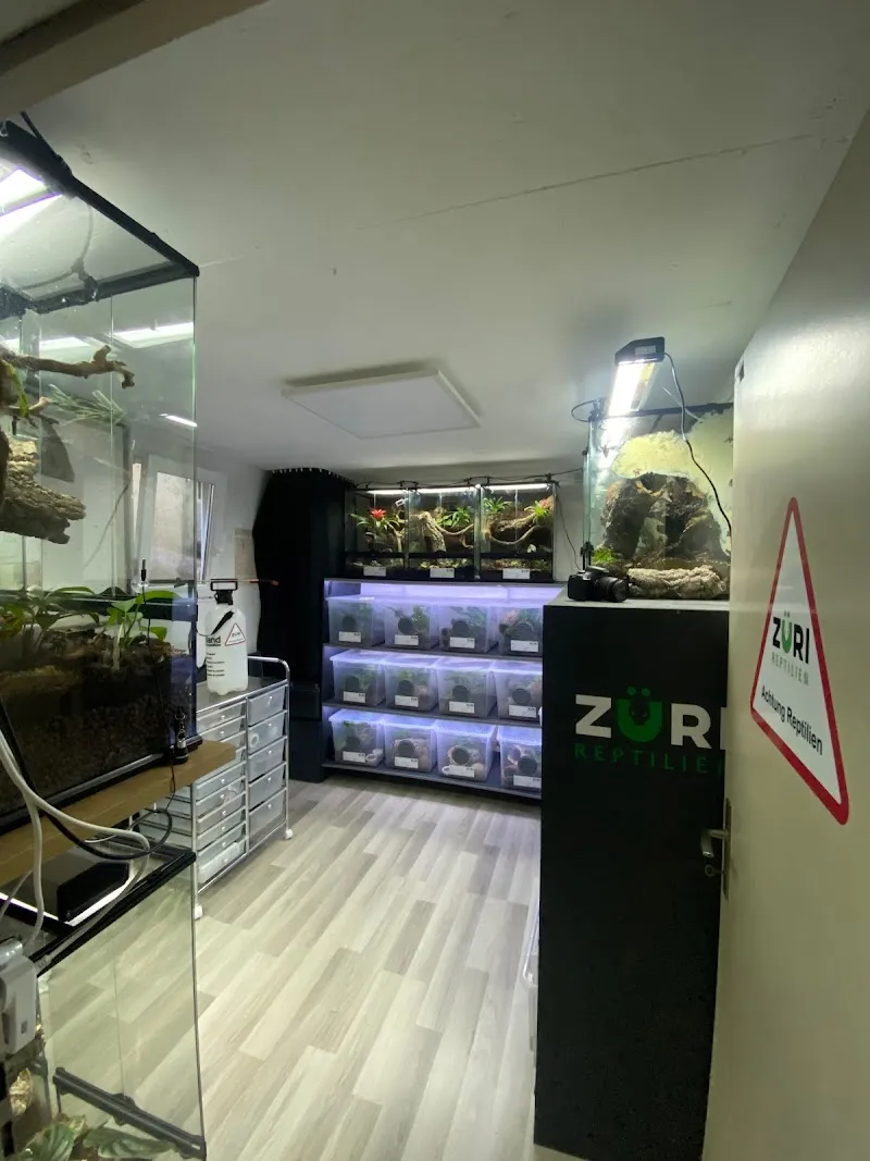 Züri-Reptilien — Zoofachhandel in Zuzwil, St. Gallen. Bewertung 5.0/5.