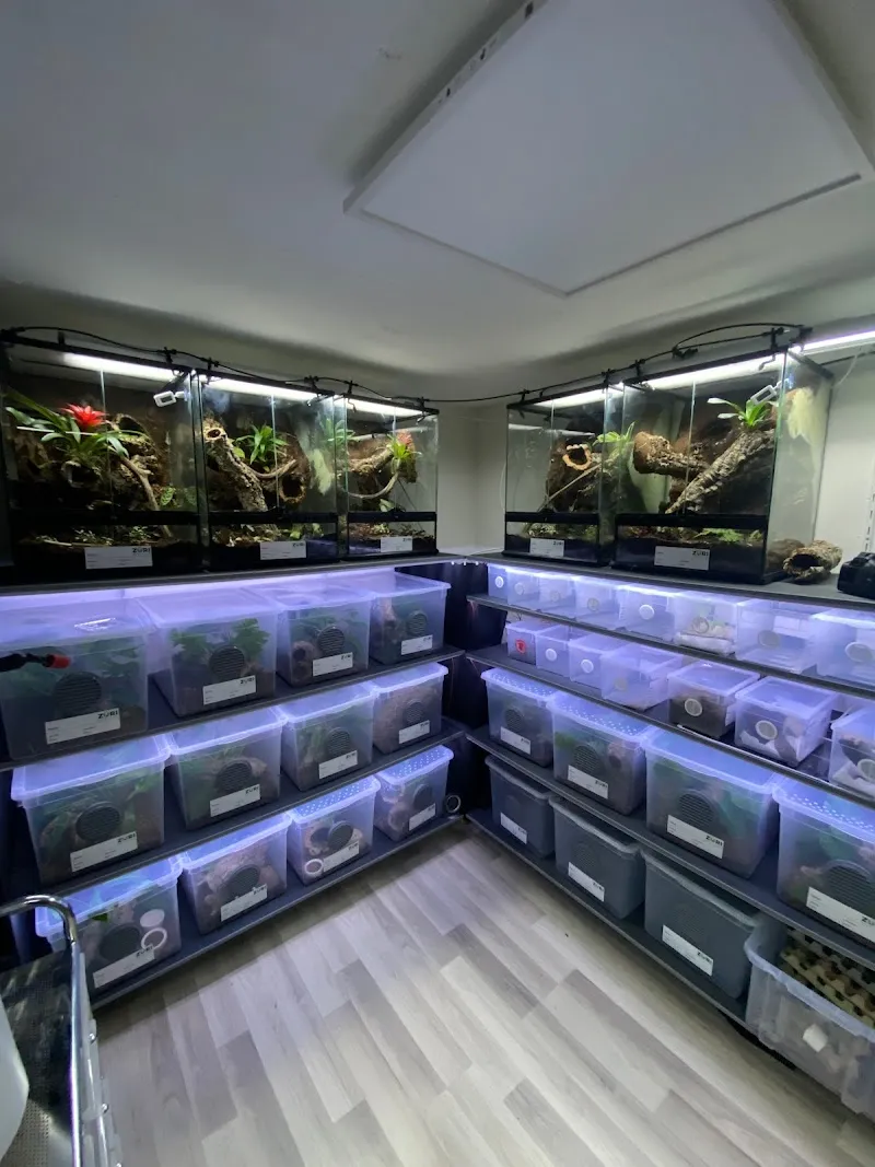 Züri-Reptilien — Animalerie, Zuzwil, Saint-Gall. Foto 3