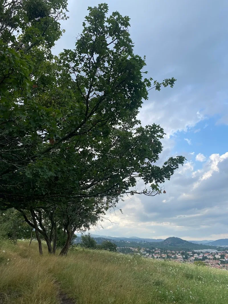 yummix GmbH — Zoofachhandel, Bischofszell, Thurgau. Foto 2