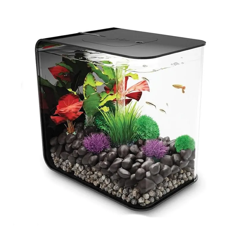 AQUARISTIKONLINE di Matteo Salmina — Zoofachhandel, Ponte Tresa, Tessin. Foto 2