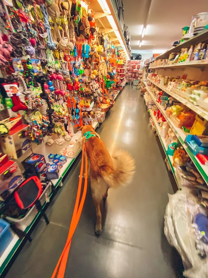 Amico Animale — Zoofachhandel in Rivera, Tessin. Bewertung 4.7/5.