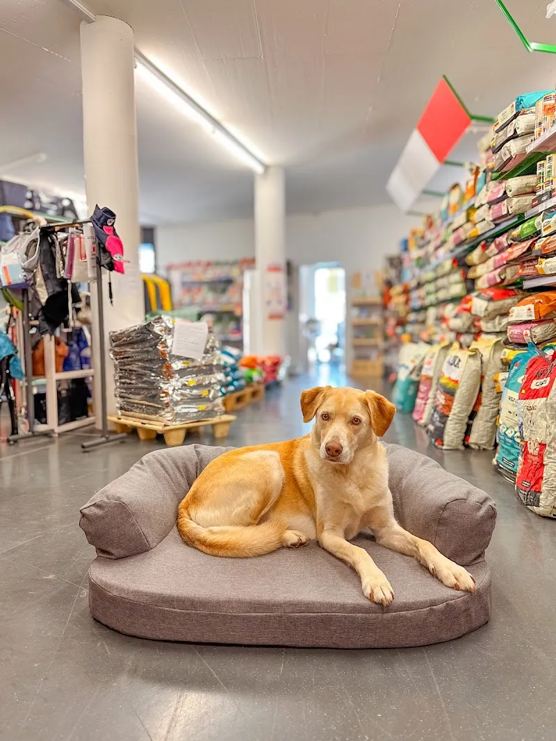 Amico Animale — Zoofachhandel, Rivera, Tessin. Foto 2