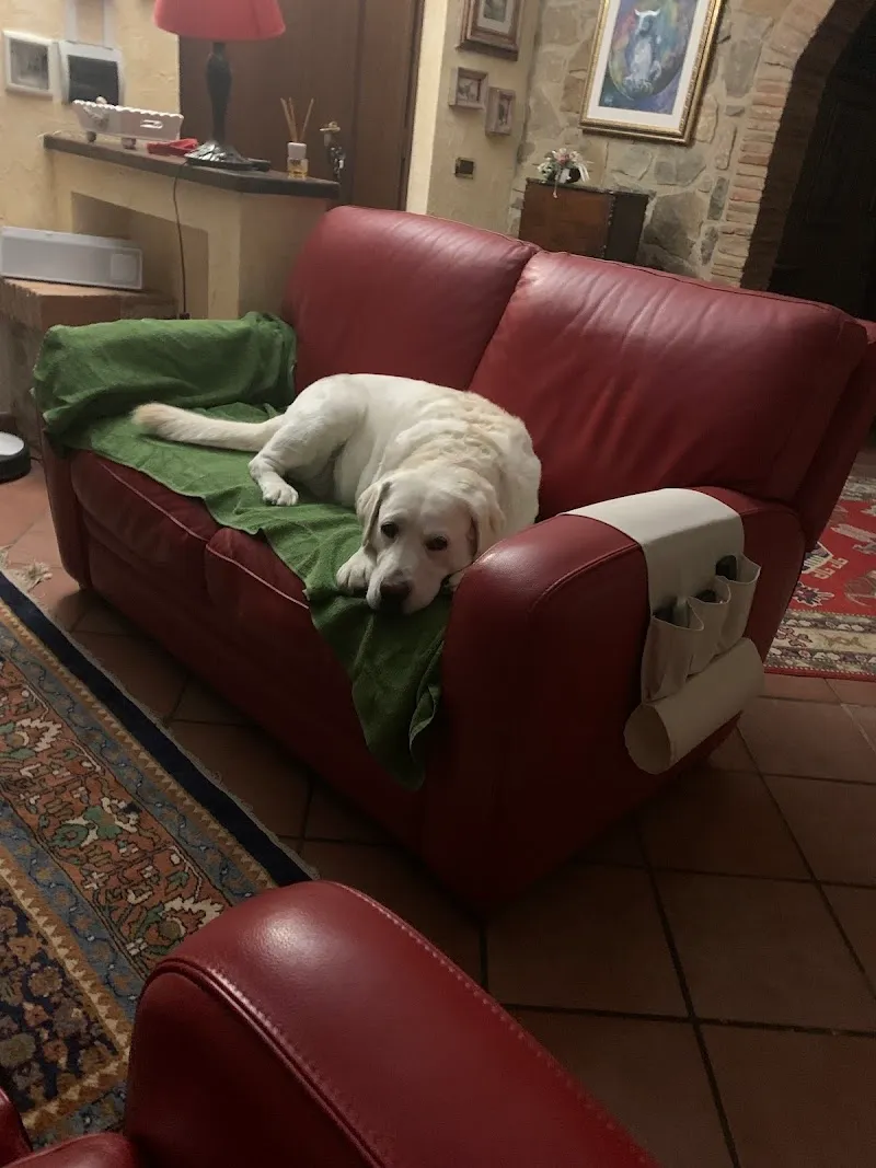 Arcaplanet — Zoofachhandel, Grancia, Tessin. Foto 3