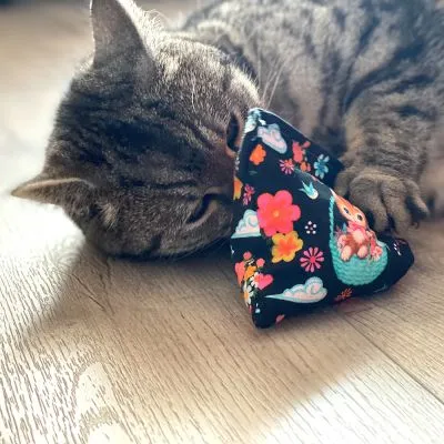 Aurypet Quality Shop Sagl — Animalerie, Bellinzona, Tessin. Foto 3