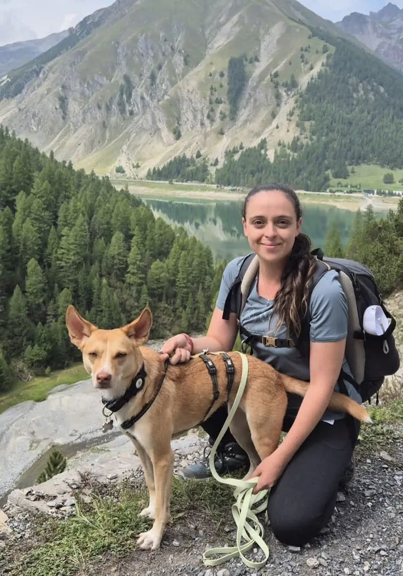 Care4Paws Pet sitting Lugano — Tierdienste in Lugano, Tessin. Bewertung 5.0/5.