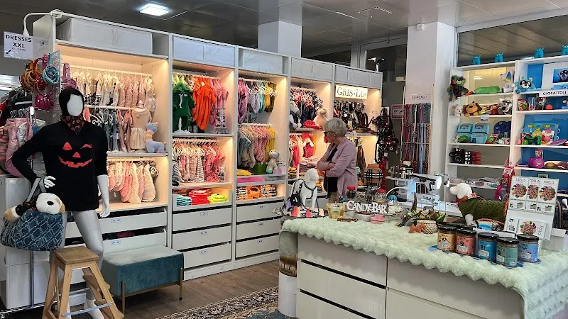 Dog Paradise Lugano — Zoofachhandel, Paradiso, Tessin. Foto 3