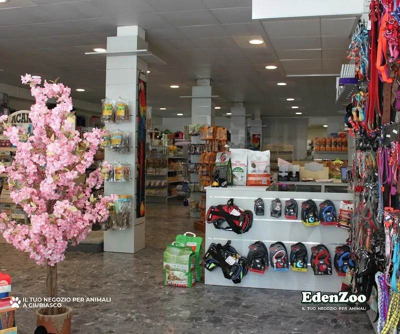 EdenZoo — Animalerie, Giubiasco, Tessin. Foto 2