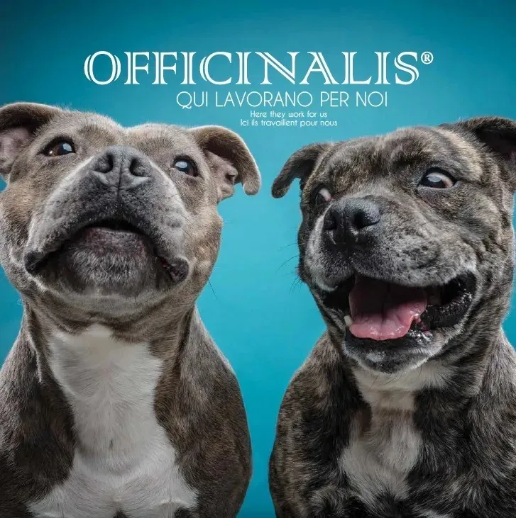 Franco Monti PetFood Import — Animalerie, Grono, Grisons. Foto 3