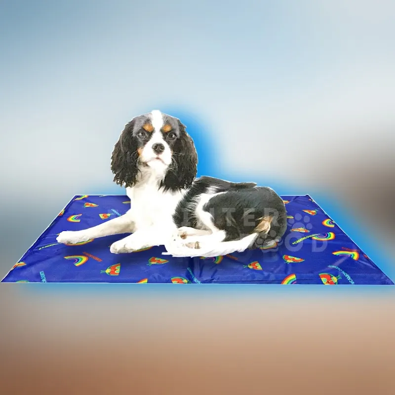 INTERFOOD di Giampietro Ceppi — Animalerie, Taverne, Tessin. Foto 2