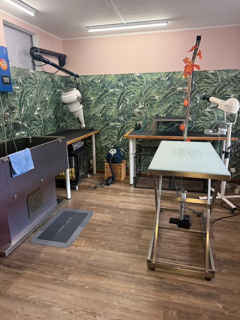 La Cuccia — Zoofachhandel in Bioggio, Tessin. Bewertung 4.7/5.