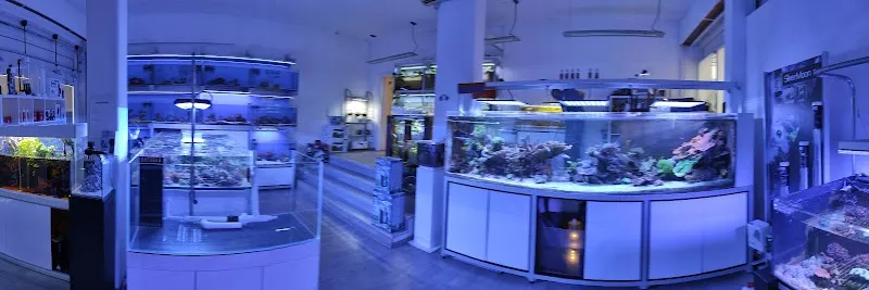 Laguna Blu — Zoofachhandel, Massagno, Tessin. Foto 2