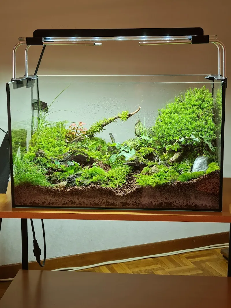 Laguna Blu — Zoofachhandel, Massagno, Tessin. Foto 3