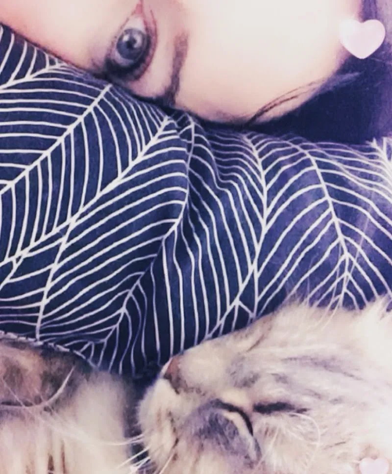 Love for Pets — Katzenpension in Cernier, Neuenburg. Bewertung 5.0/5.