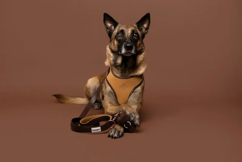 Mooshi Pet Lifestyle — Zoofachhandel, Lugano, Tessin. Foto 2