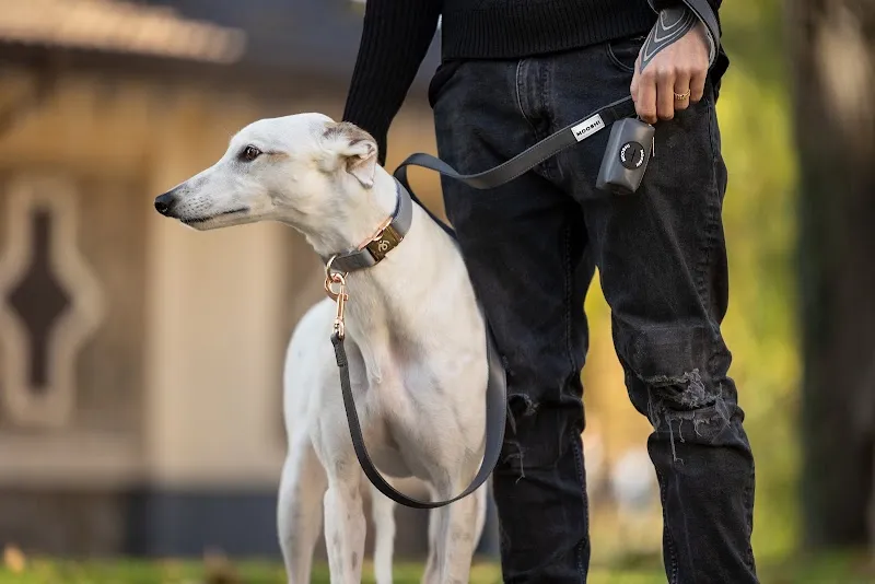 Mooshi Pet Lifestyle — Zoofachhandel, Lugano, Tessin. Foto 3