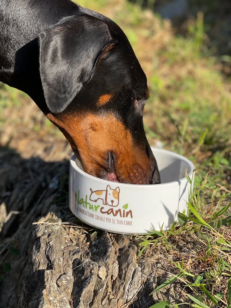 Naturcanin — Zoofachhandel, Gentilino, Tessin. Foto 3