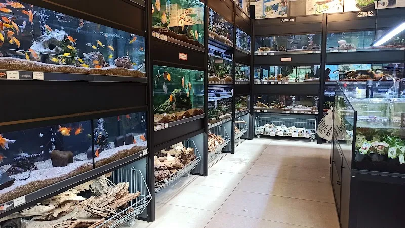 Petfriends — Animalerie, Sant'Antonino, Tessin. Foto 2