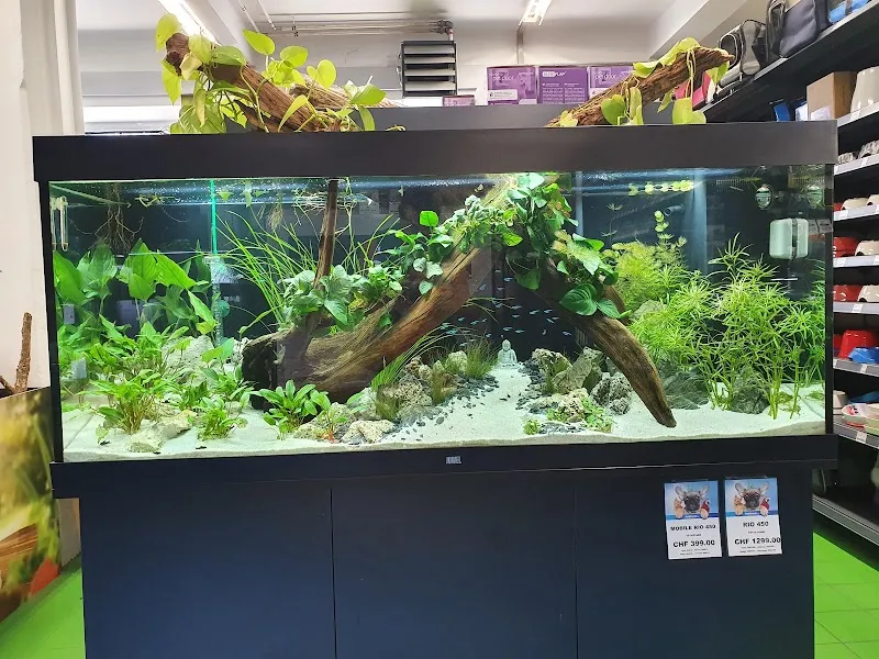 Petfriends — Zoofachhandel, Locarno, Tessin. Foto 3