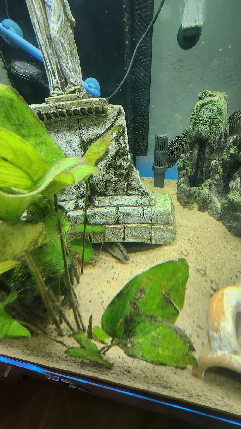 Petfriends Bellinzona — Animalerie, Bellinzona, Tessin. Foto 3