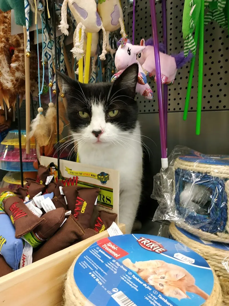 QUALIPET Centro Bellinzona — Zoofachhandel, Bellinzona, Tessin. Foto 2