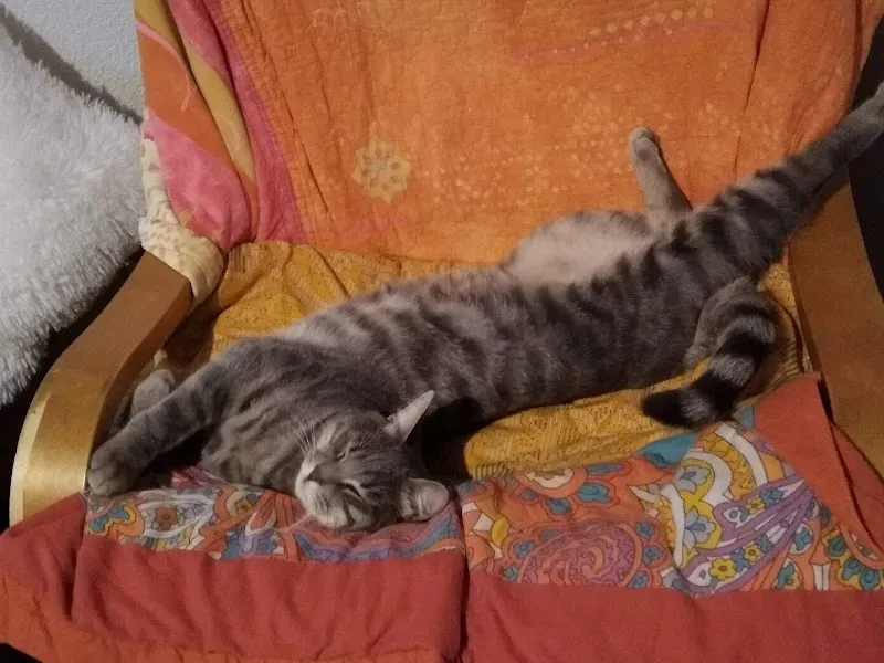 QUALIPET Centro Bellinzona — Zoofachhandel, Bellinzona, Tessin. Foto 3