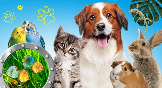 QUALIPET Losone — Animalerie, Losone, Tessin. Foto 2