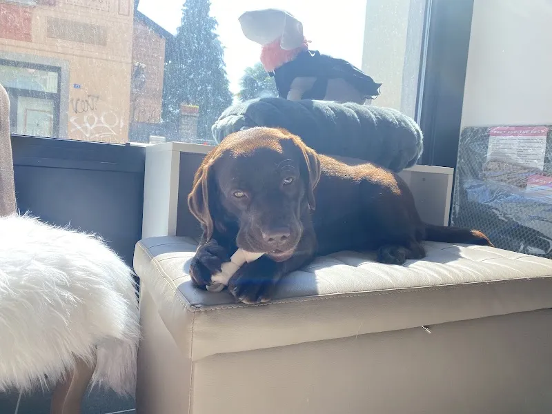 Zampa Felice — Zoofachhandel, Balerna, Tessin. Foto 3