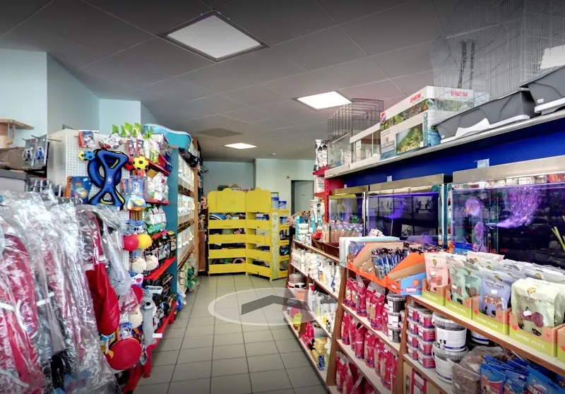 Zoo Adebar sagl — Zoofachhandel, Muralto, Tessin. Foto 2