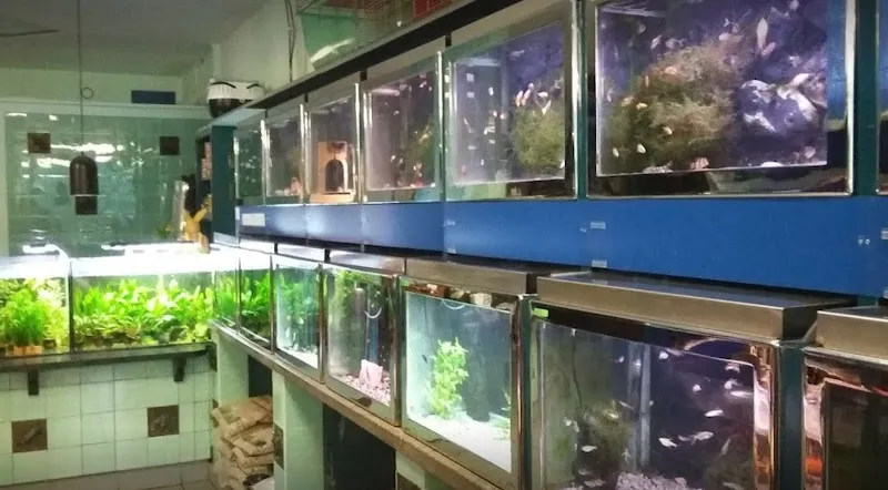 Zoo Adebar sagl — Zoofachhandel, Muralto, Tessin. Foto 3