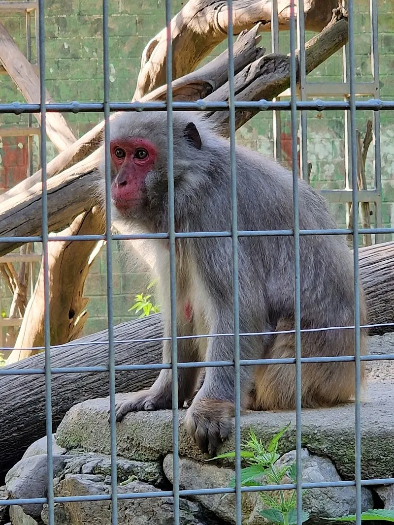 Zoo al Maglio - Neggio — Zoofachhandel, Magliaso, Tessin. Foto 3