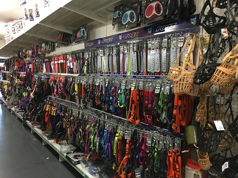 banzai.ch — Zoofachhandel, Rivera, Tessin. Foto 3