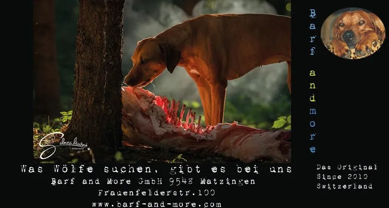 Barf and More GmbH — Animalerie, Matzingen, Thurgovie. Foto 3